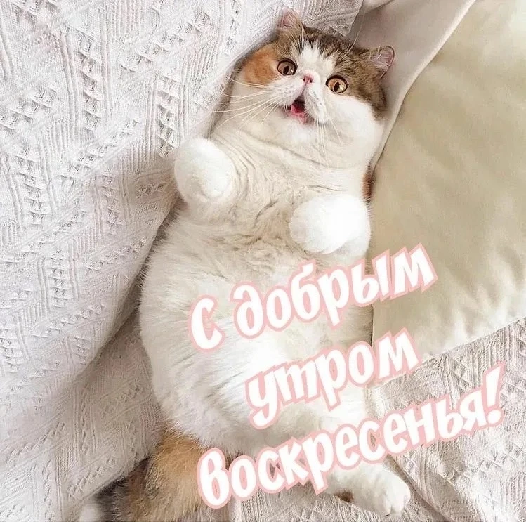 📍 Барнаул