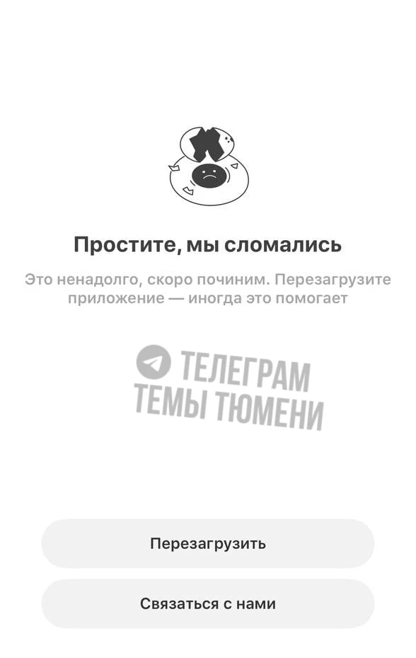 Сервисы доставки продуктов легли в Тюмени.