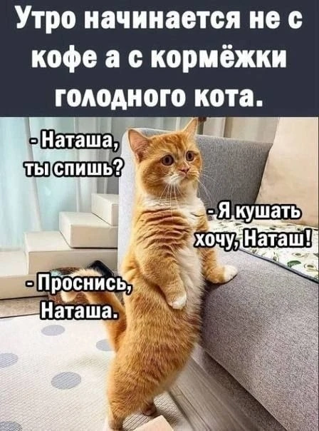 Наташа...аааааааа 4 утра..вставай!!!