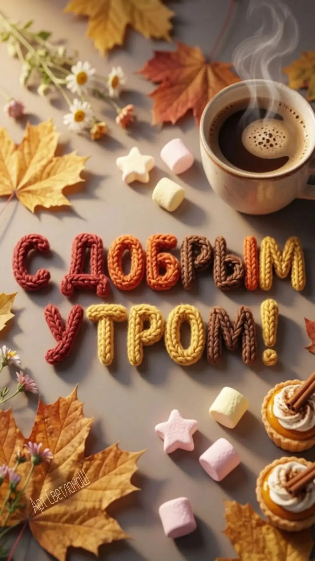 Подписаться 🍁
