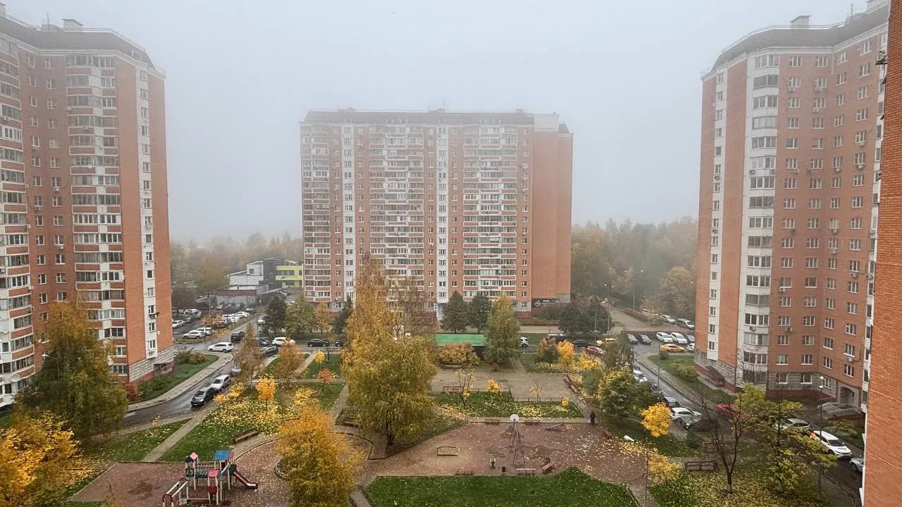 Балашиха сегодня спряталась за пеленой тумана