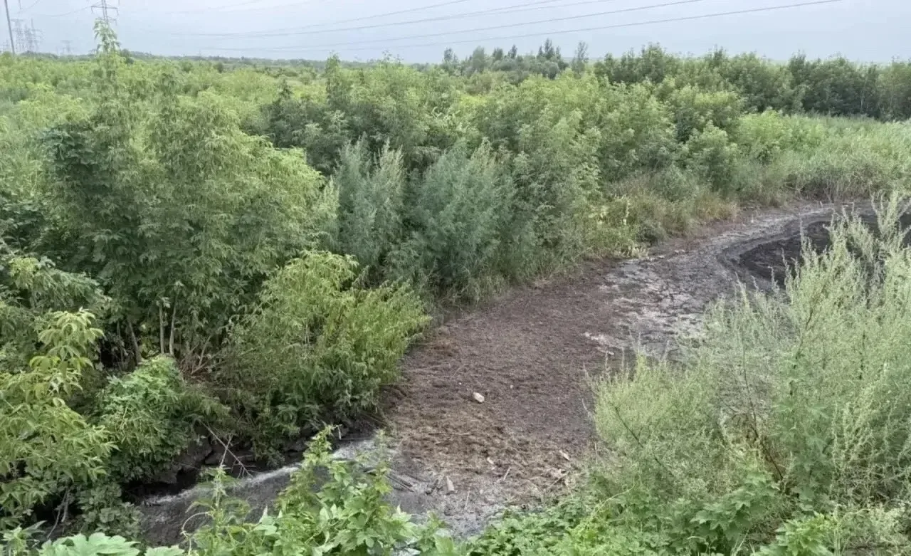 🏭 Мясокомбинат под Бугурусланом заплатит 14 млн рублей за отходы в почве