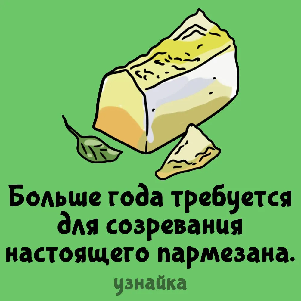 И цена будет соответствовать 🧀💵
