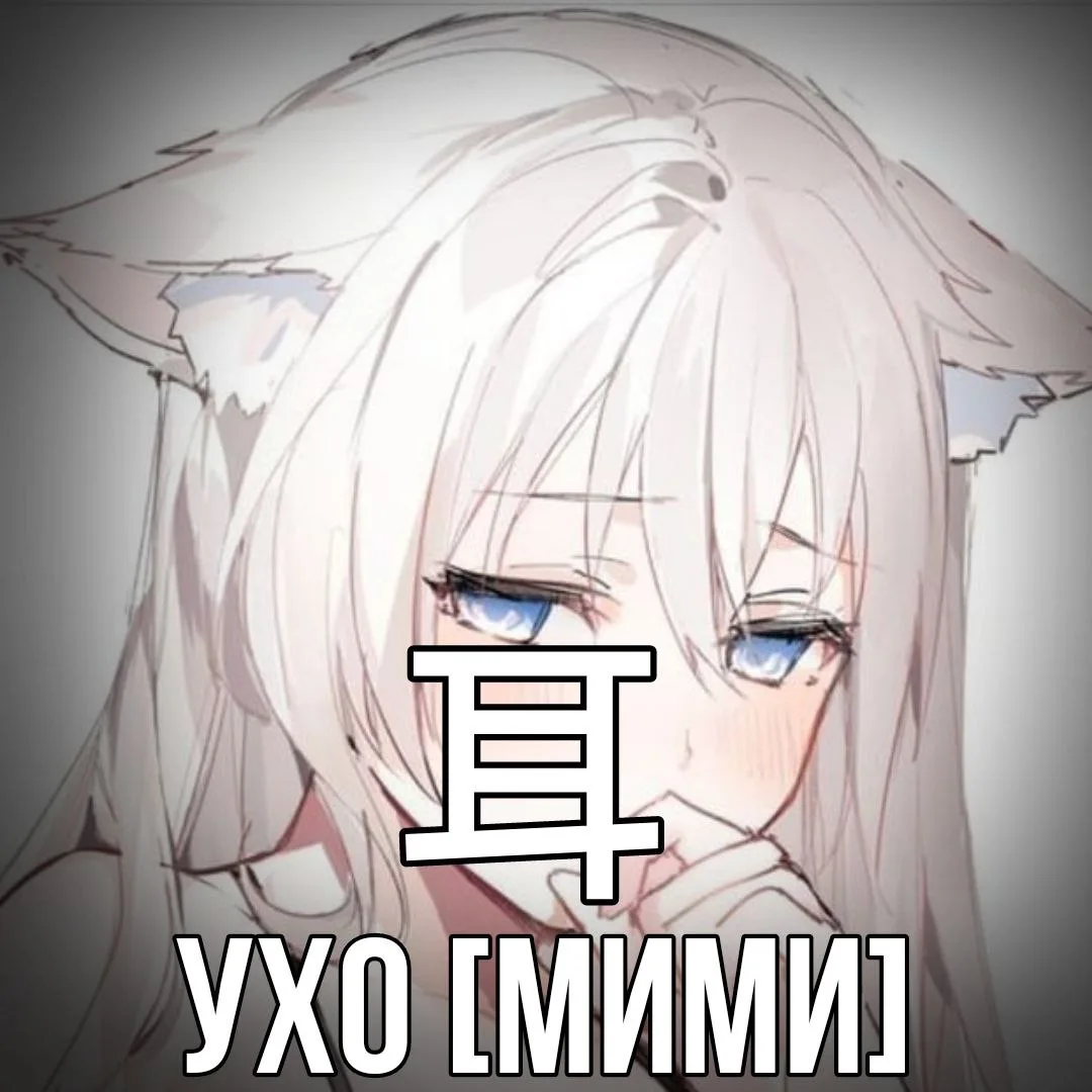 Учим японский 🇯🇵