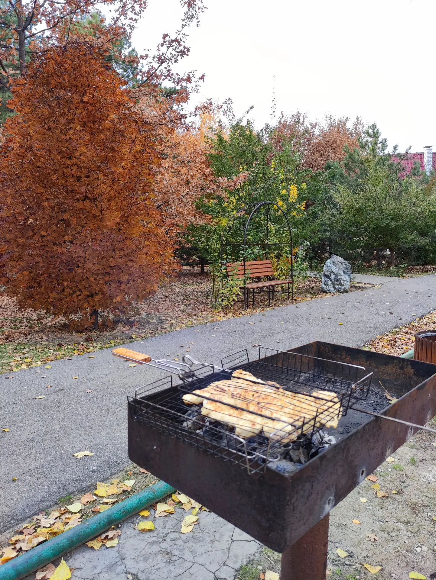 🍂 Осень - время замедлиться и вдохнуть полной грудью.