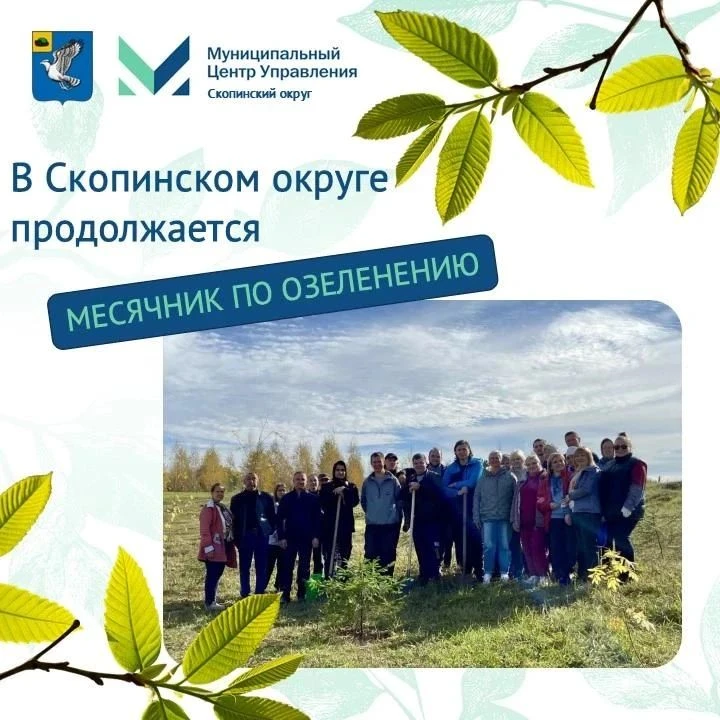 В округе продолжается месячник по озеленению!