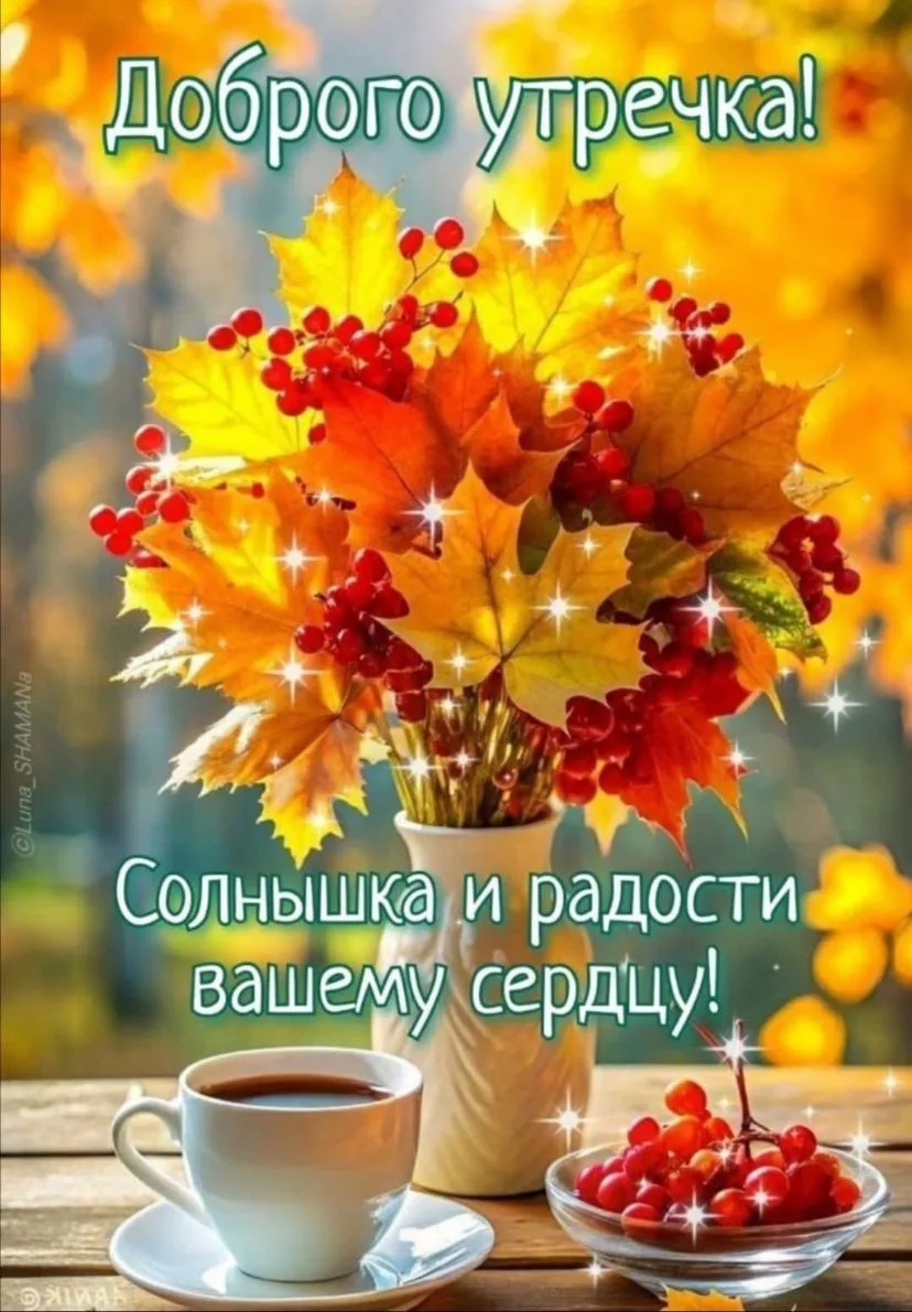 Доброе утро!🍁