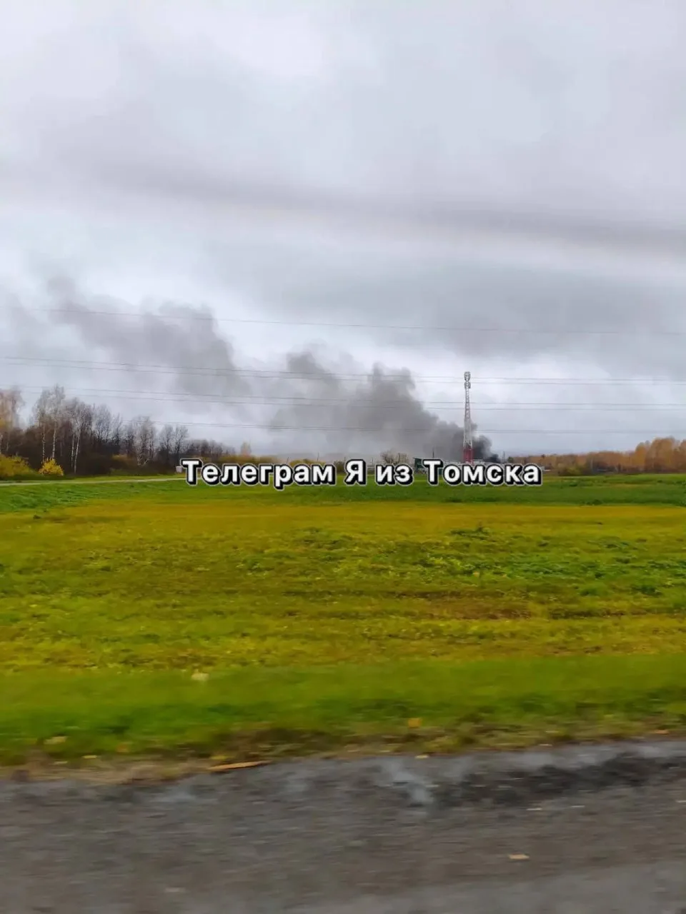 Дым заметили у птицефабрики под Томском