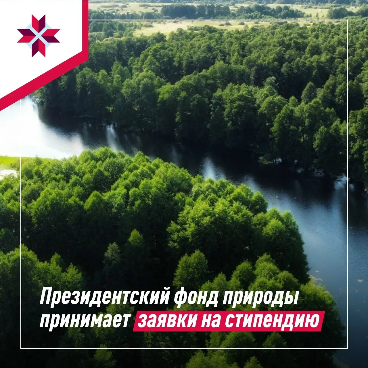 🌱Защищайте природу и получайте стипендию!