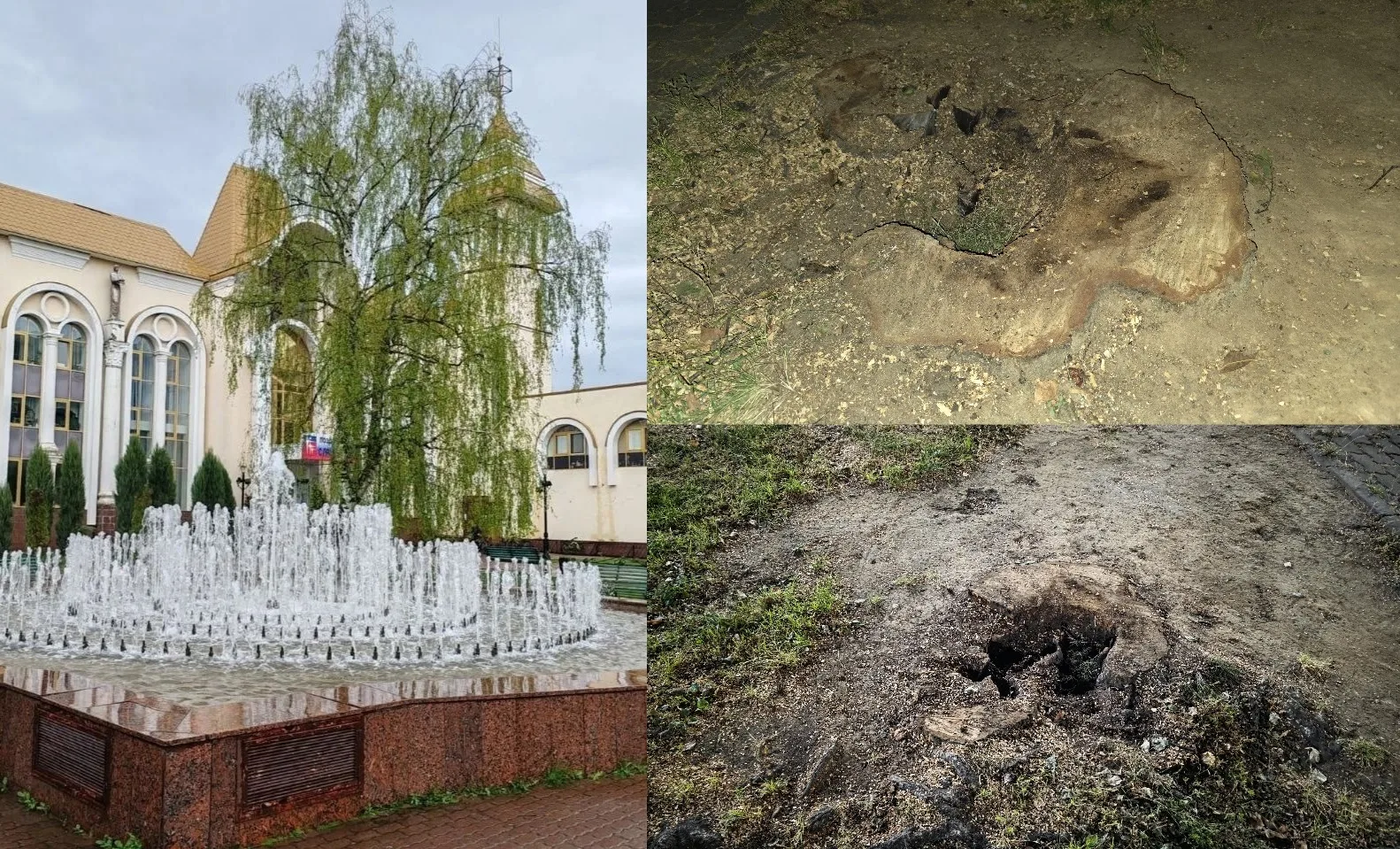 Знаменитая берёза около фонтана была любима жителями города