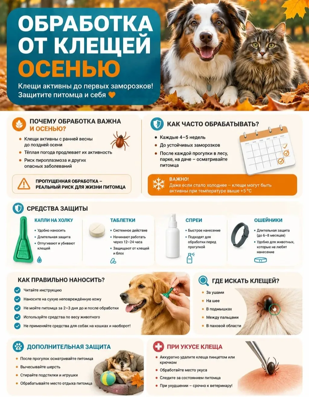 Осень — не время расслабляться! 🍂 Клещи активны до первых заморозков!