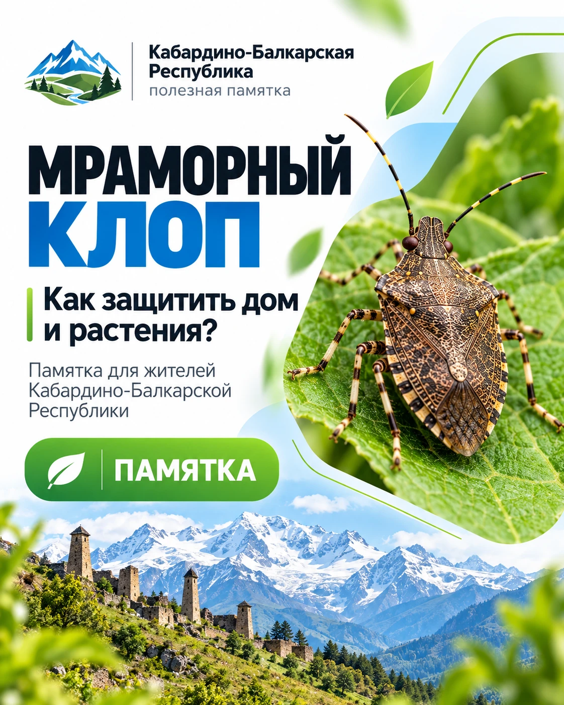 Мраморный клоп добирается до домов. Как защитить жильё и урожай? 🪲
