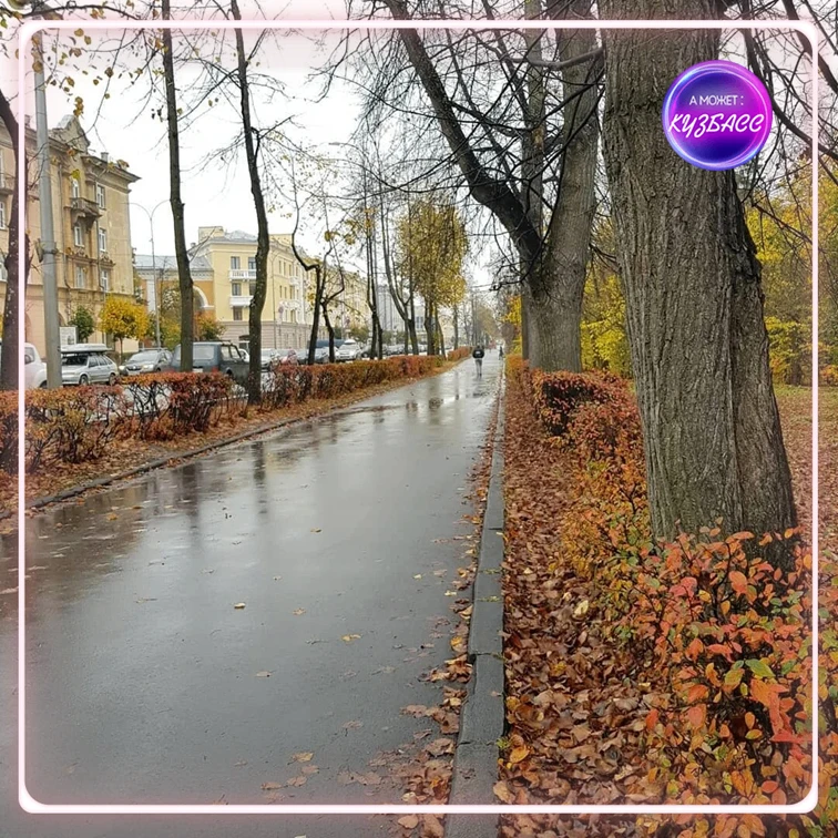 🌧 Дожди, мокрый снег и сильный ветер: в Кузбасс возвращается холод