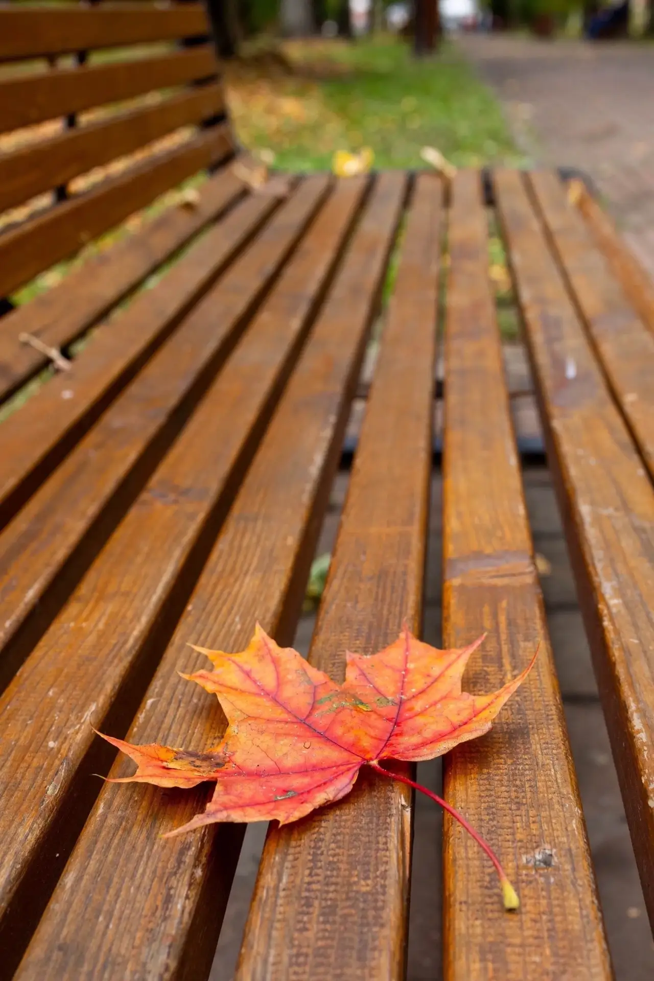 Осень - Нижний Новгород 🍁