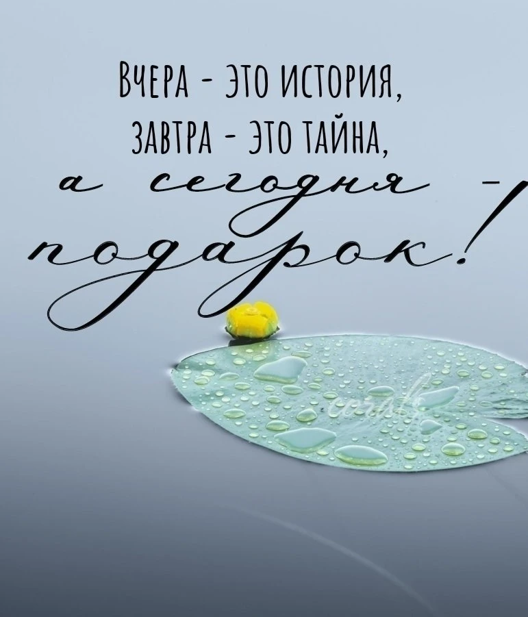🇷🇺  Мы в МАХ : https://max.ru/dusha_angela_new