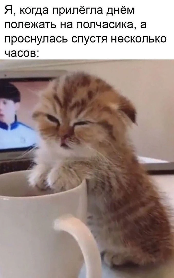 🥹 Кто тоже так умеет спать?