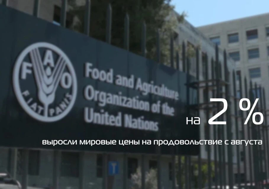 ФАО: Мировые цены на продовольственные товары выросли на 2% с августа