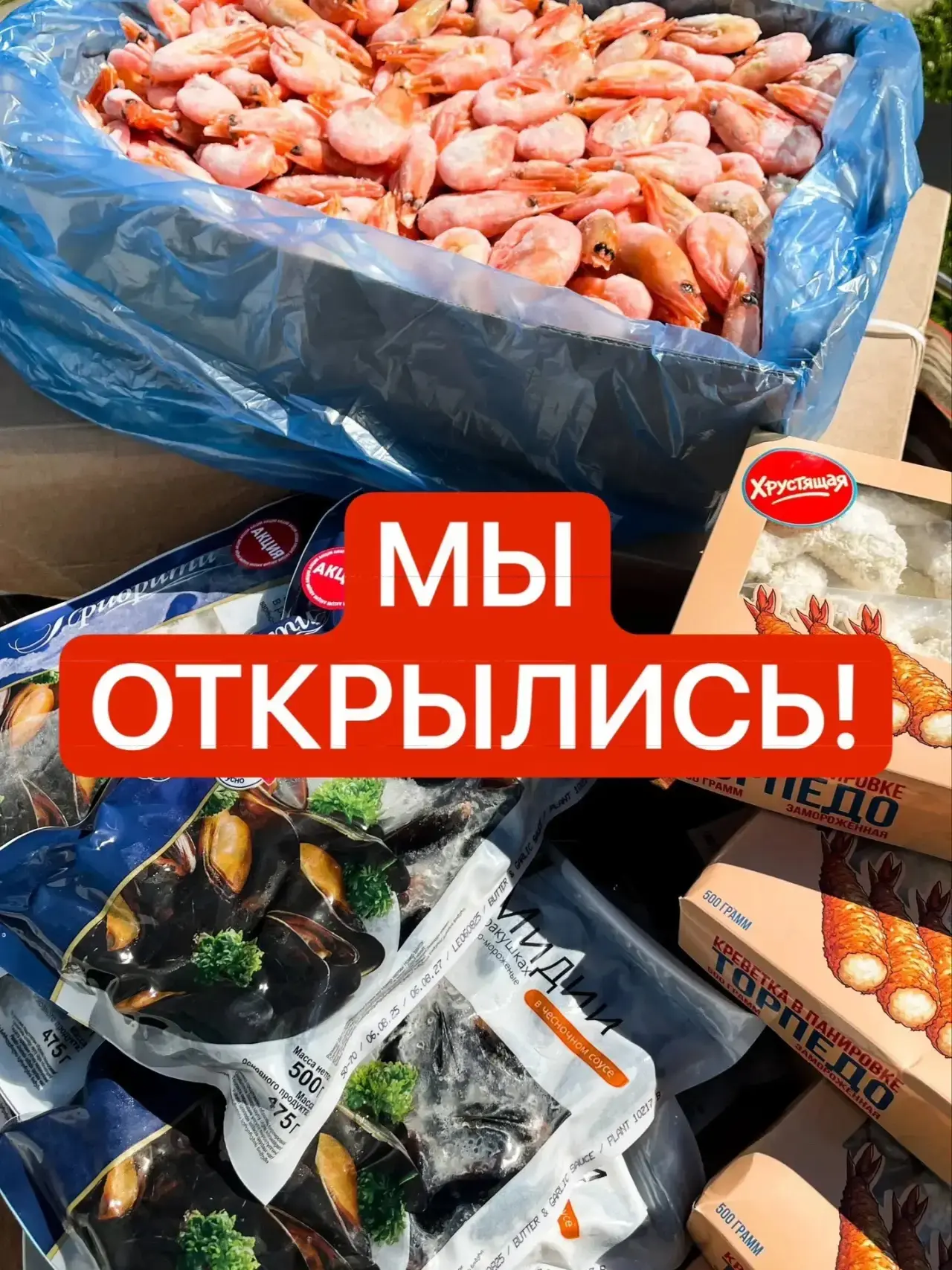 ❤️ ПРОРЫБУ СТАЛ ЕЩЁ БОЛЬШЕ! МЫ ОТКРЫЛИСЬ! 🎉🐟Урааа! Ещё один ПРОРЫБУ появился на карте...