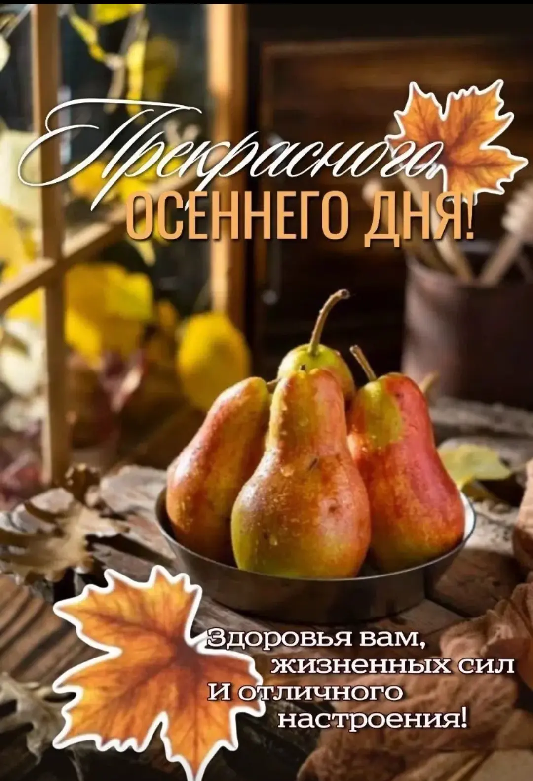 Доброе утро, друзья❤️!