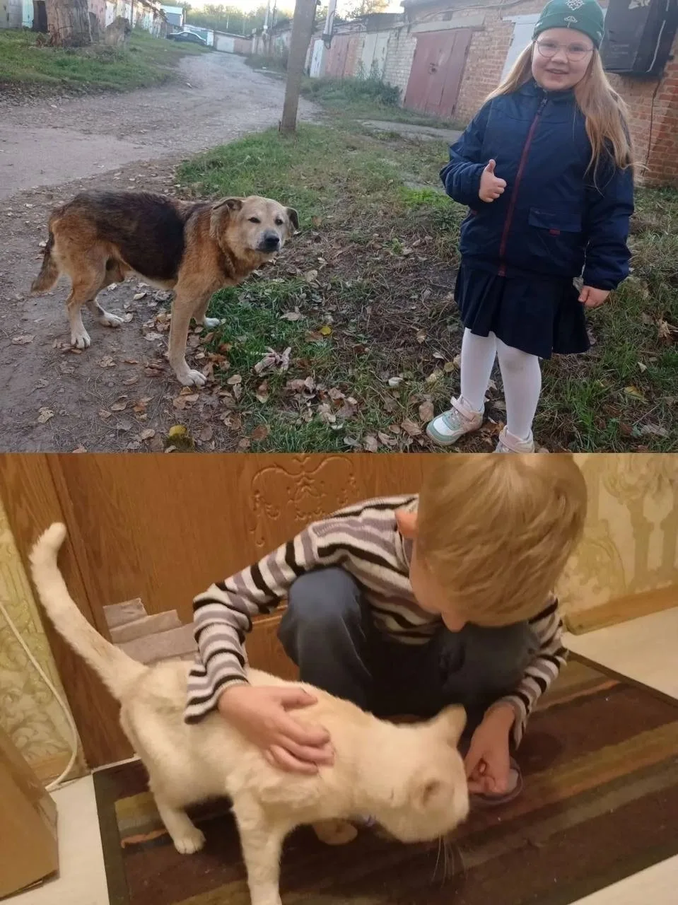 📸 Лапки, которые ждут любви: болоховские школьники заботятся о бездомных животных​