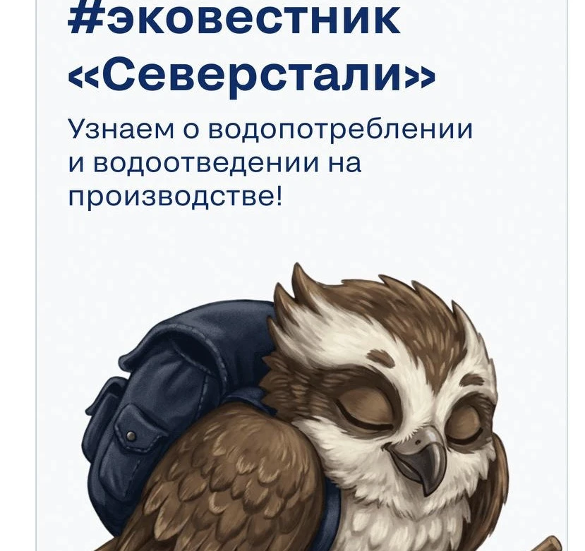 «Северсталь» портит не только воздух.