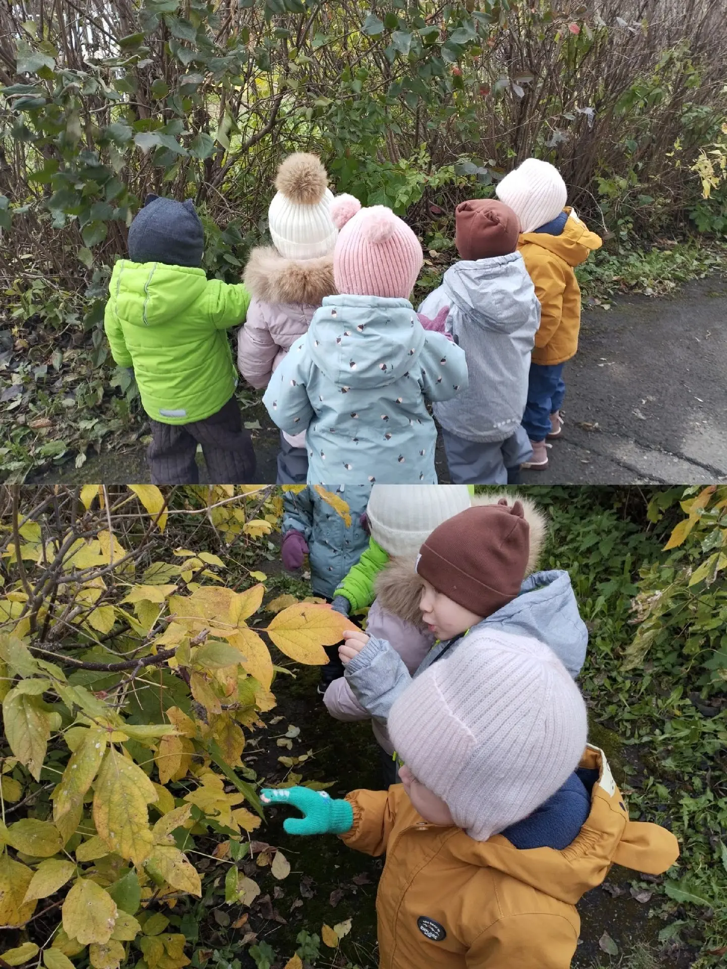 В нашей группе «Пчёлка»🐝 прошли чудесные тематические дни под названием «Осенние денёч...