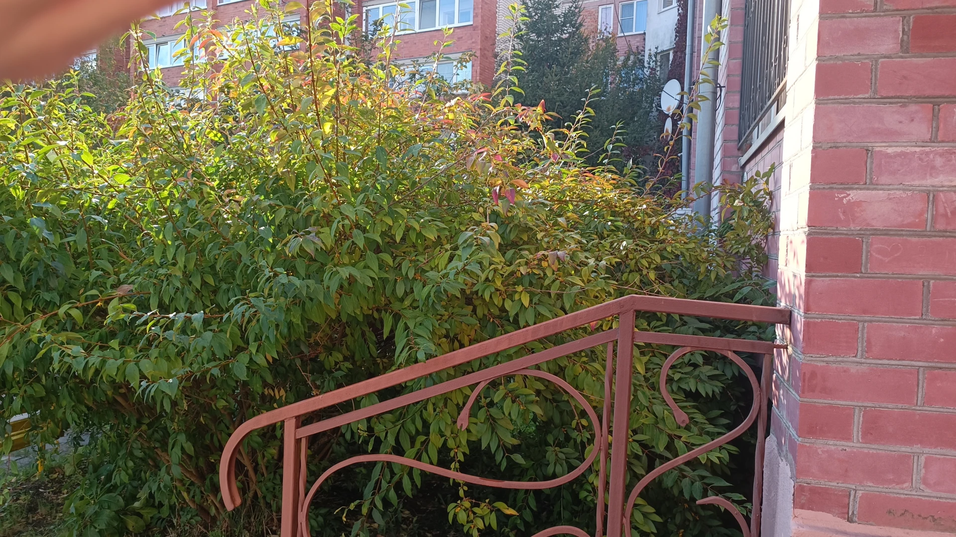 🌇 Г. Калининград