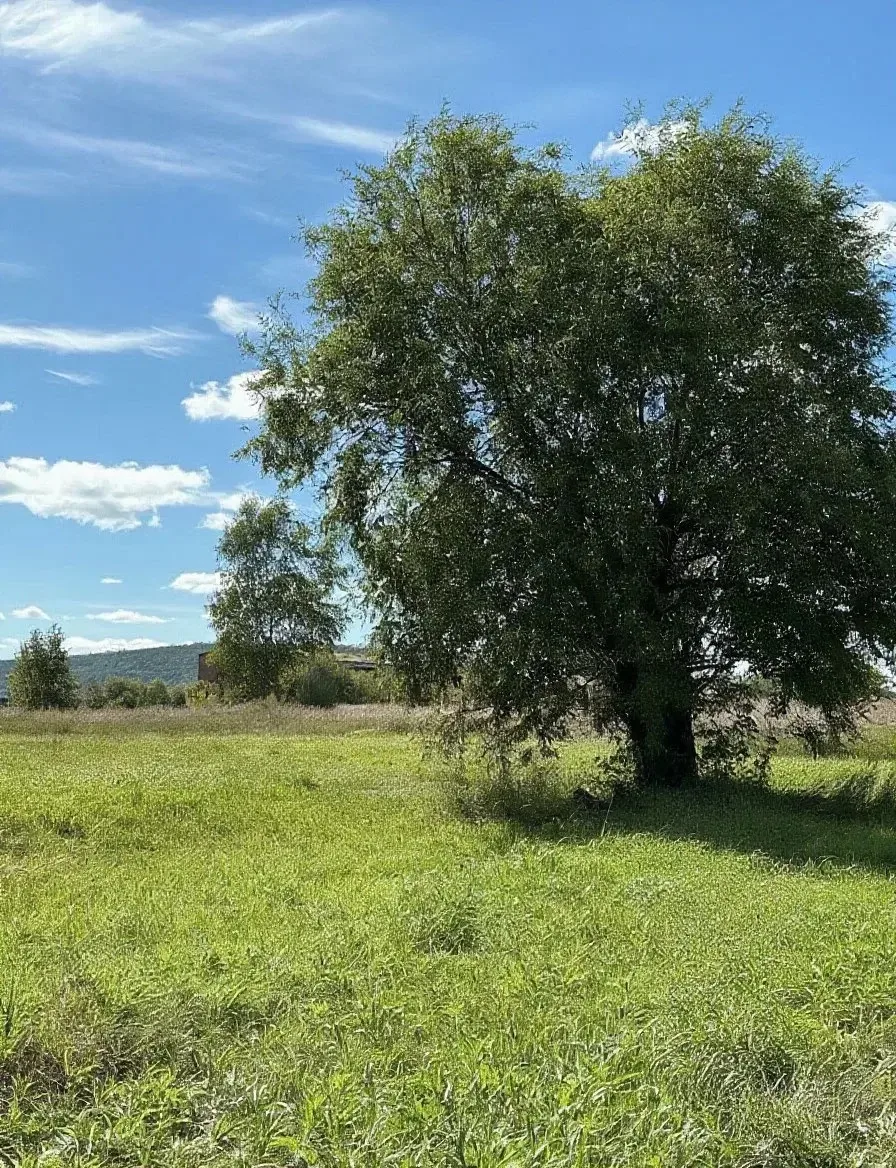 📝Красота родного края