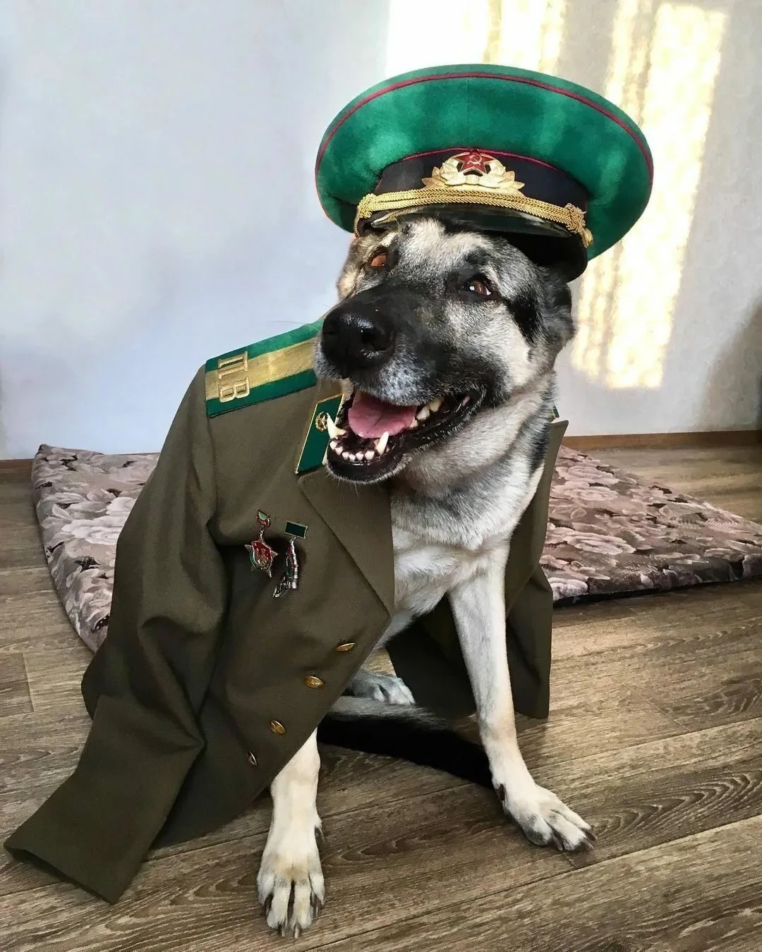 ⭐⭐⭐