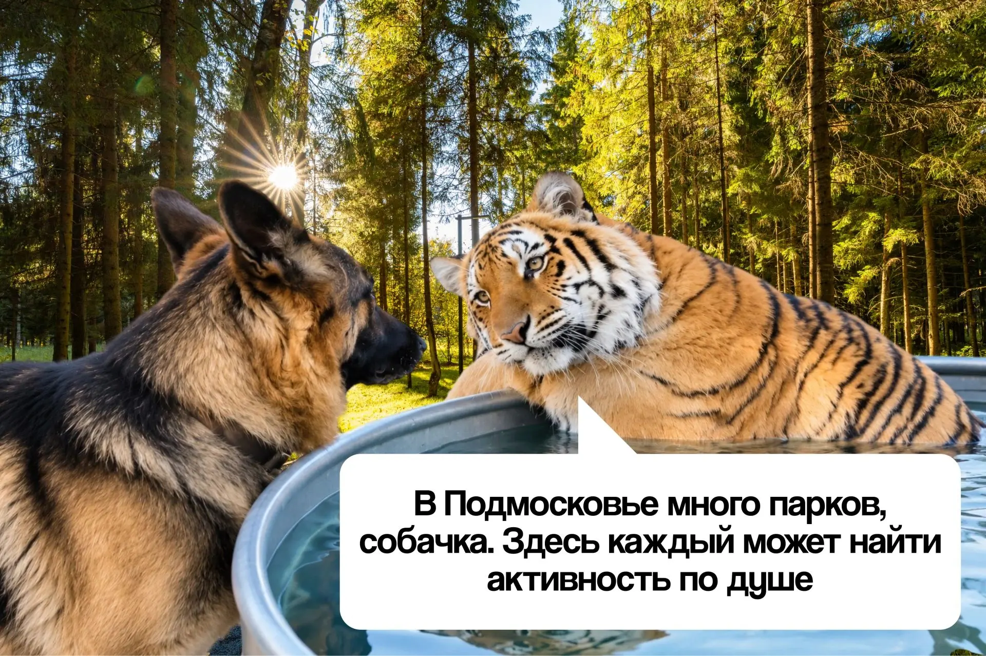 🐶 Пушистые герои отправились в путешествие по Московской области и узнали много нового...