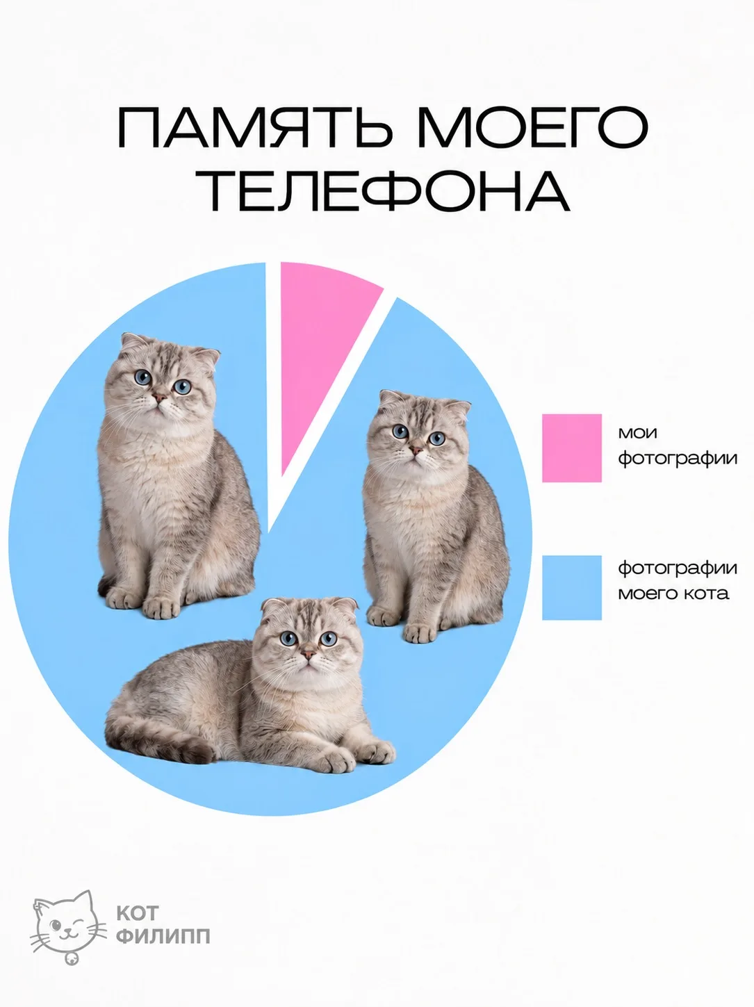 Кого мне еще фоткать?😸