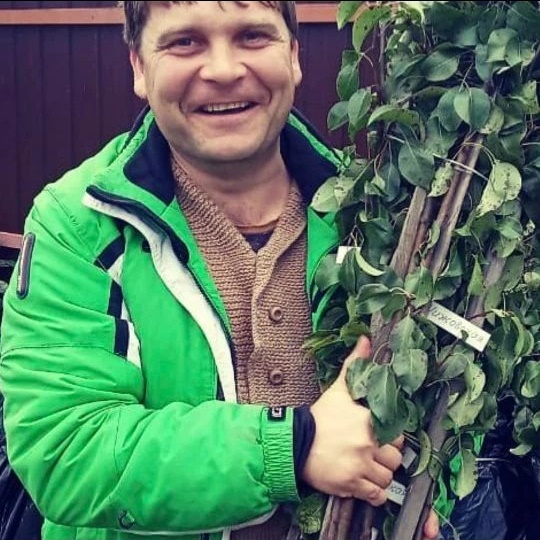 Юматов Садоводство