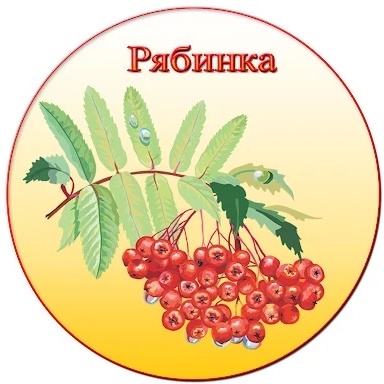 МАДОУ № 14 «Рябинка» г. Южно-Сахалинска