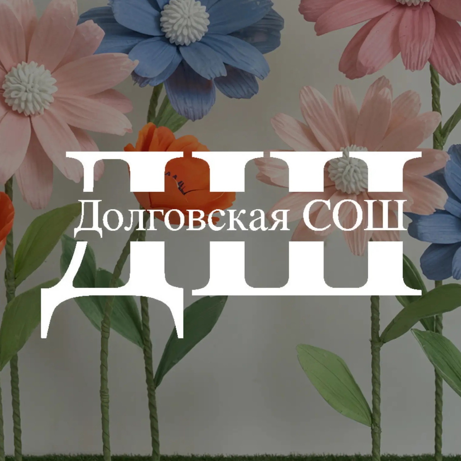 МКОУ "Долговская СОШ"
