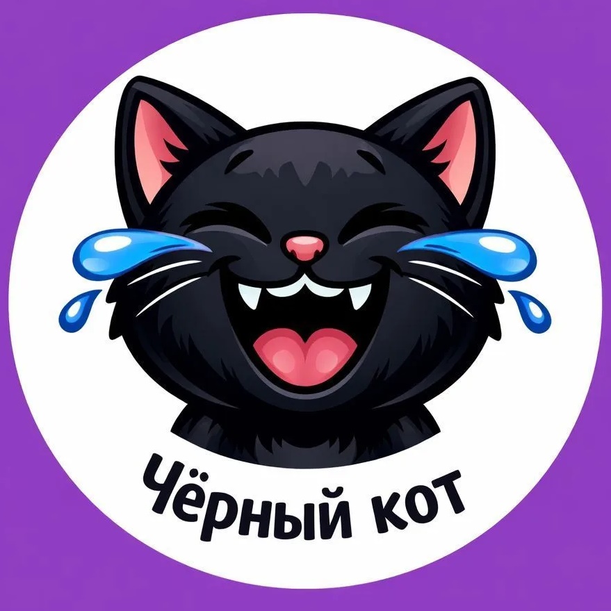 Черный кот 😹 Юмор и приколы