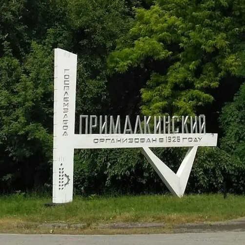 Местная администрация  сельского поселения Янтарного