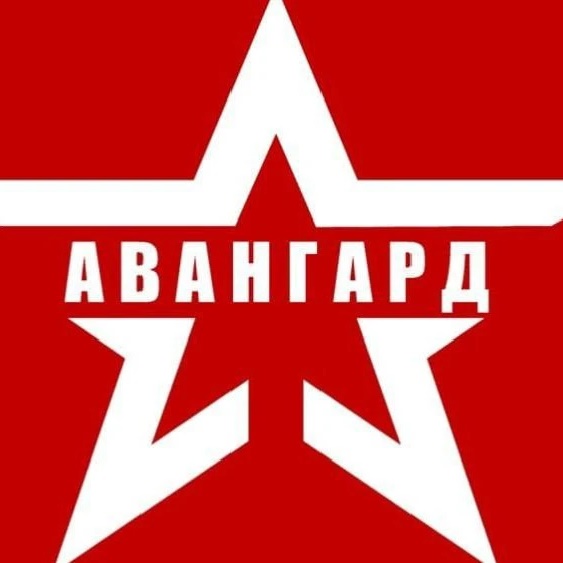 ГАУДО Воронежской области "УМЦ "Авангард"