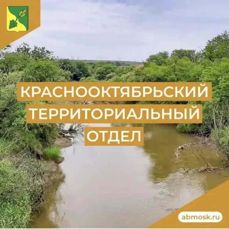 Краснооктябрьский территориальный отдел АБМО