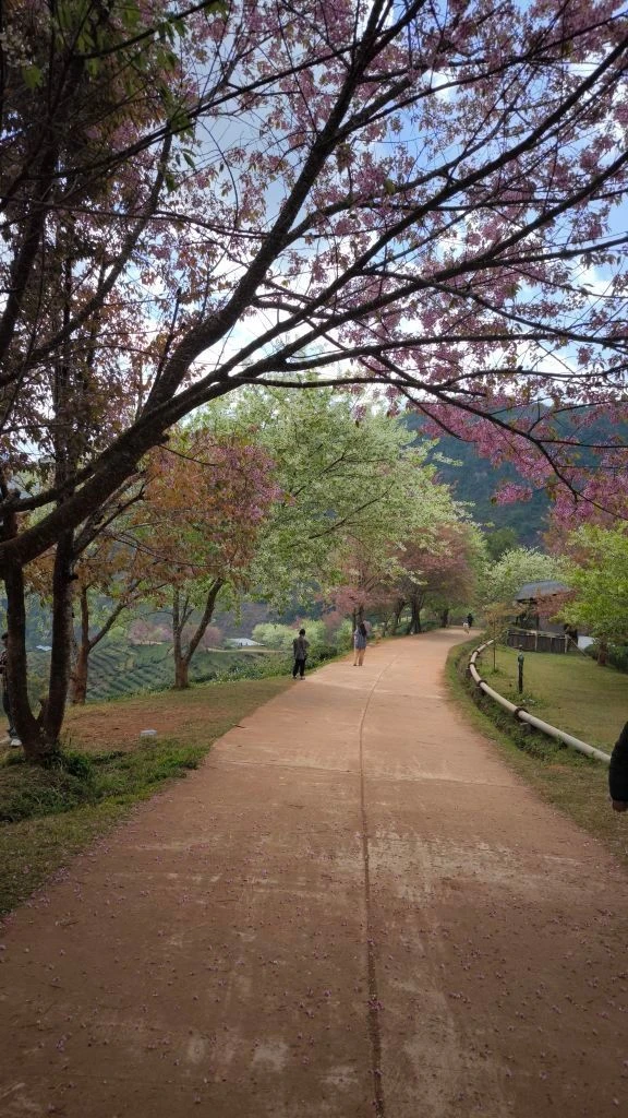 Ландшафтный дизайн - Green History 🌳