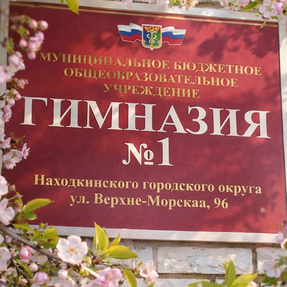 МАОУ "Гимназия 1" НГО