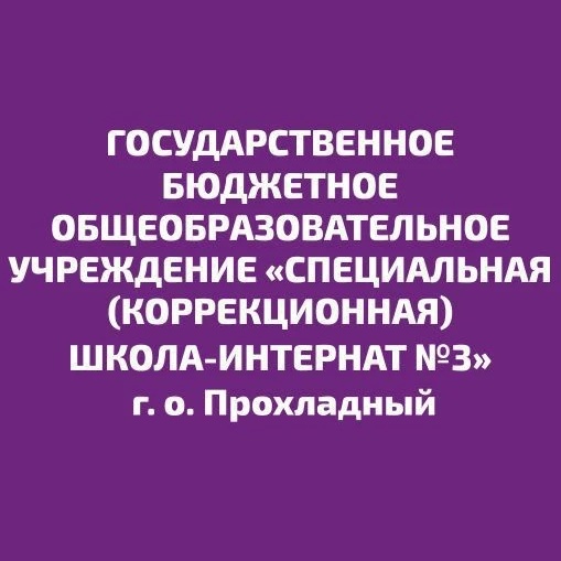 ГБОУ "СКШИ №3" МИНПРОСВЕЩЕНИЯ КБР