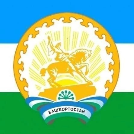 Совет СП Янгурчинский сельсовет