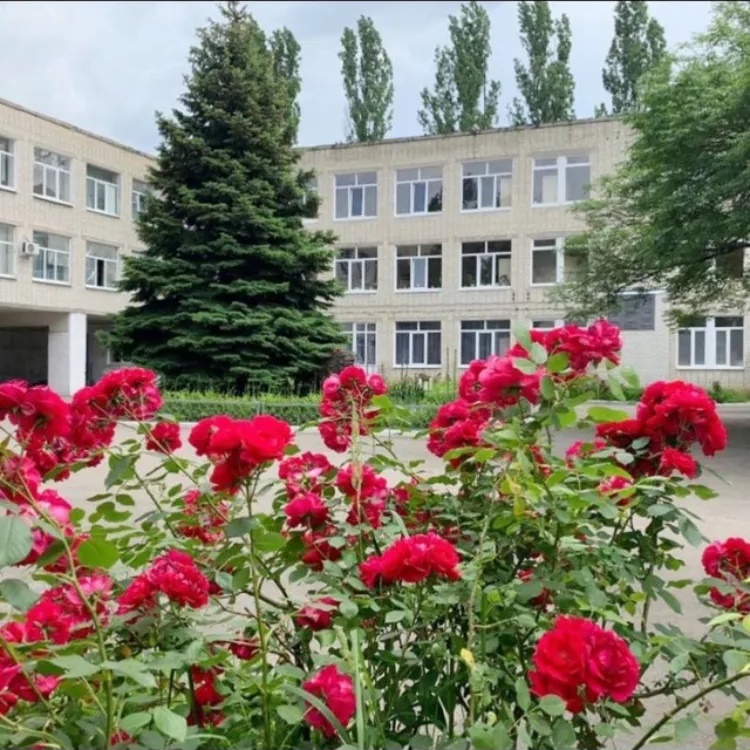 МБОУ СОШ № 1 им. С.М. Кирова г. Невинномысска