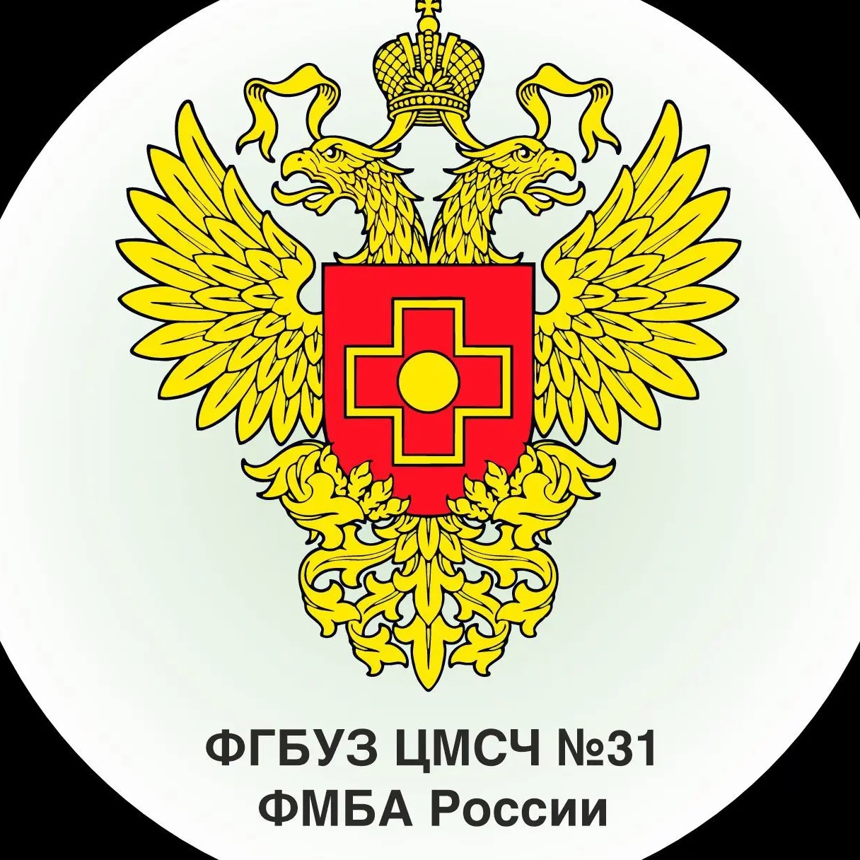 ФГБУЗ ЦМСЧ № 31 ФМБА России, г. Новоуральск