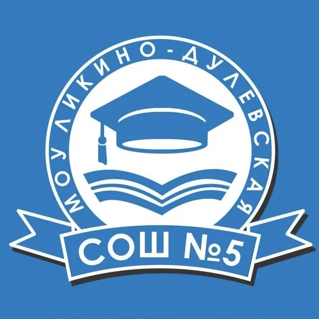 Ликино-Дулевская школа №5, Орехово-Зуевский городской округ