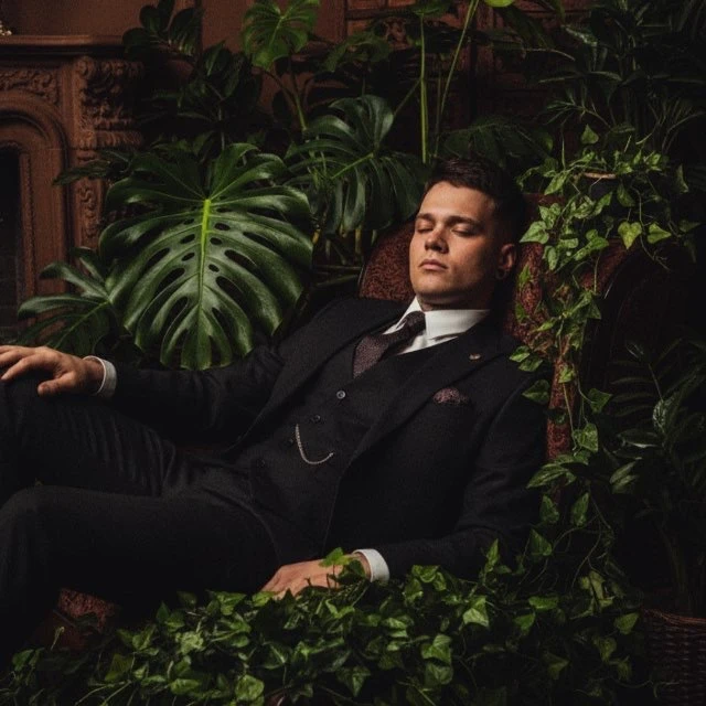 Green Plants Растения Кашпо