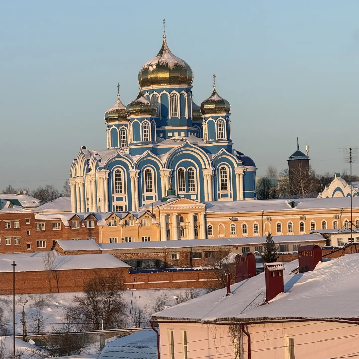 Монастырские кошки
