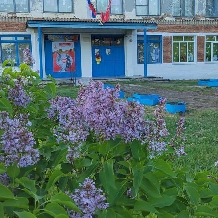 МОУ "СОШ п. Новозаволжский"
