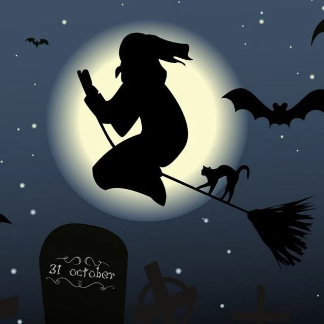 Женская Территория