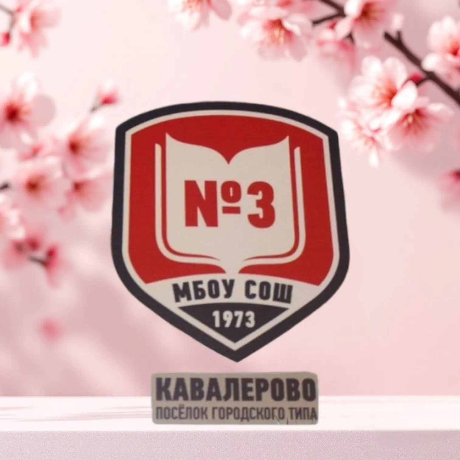 Средняя школа № 3 пгт Кавалерово